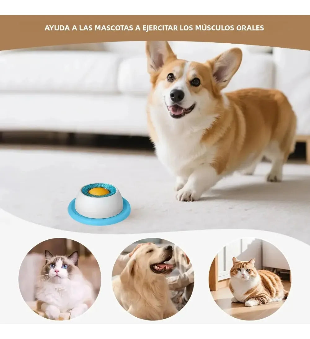 Brinquedo Interativo Slow Feeder para Cães e Gatos – Anti Tédio e Alimentação Lenta