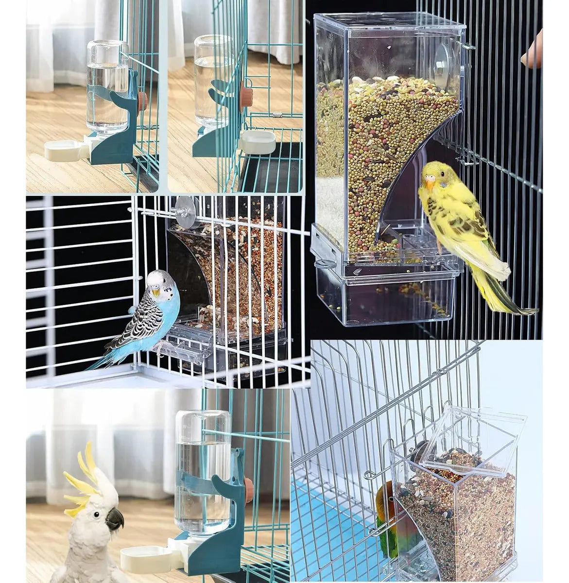 Kit Comedouro e Bebedouro Automático para Papagaios e Aves – Antissujeira e Fácil de Limpar