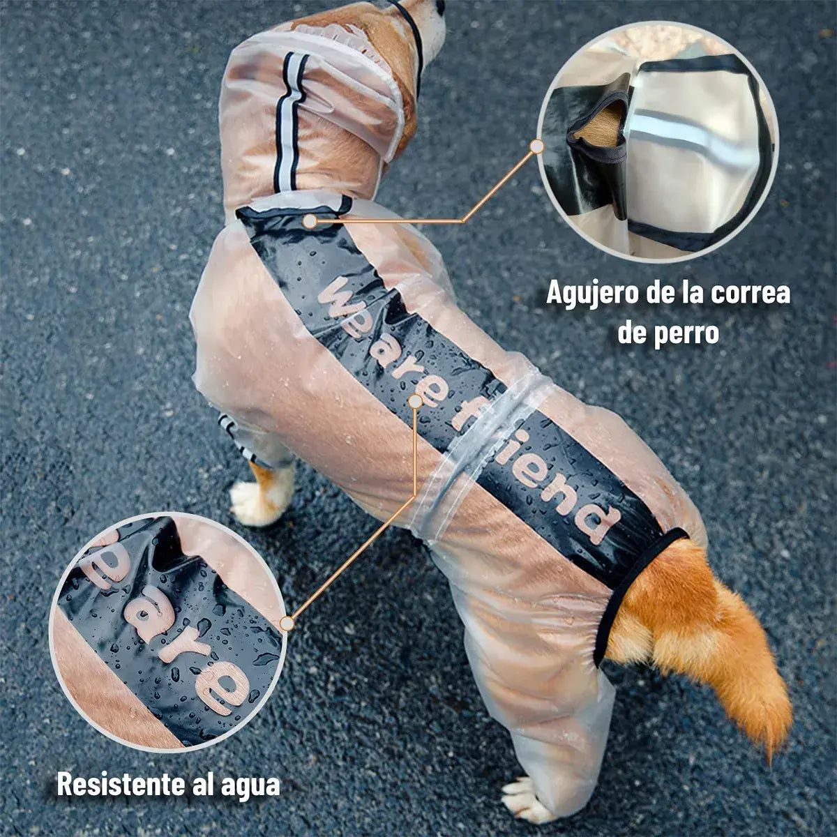 Capa de Chuva Transparente para Cachorros com Capuz e Faixas Refletivas – Impermeável