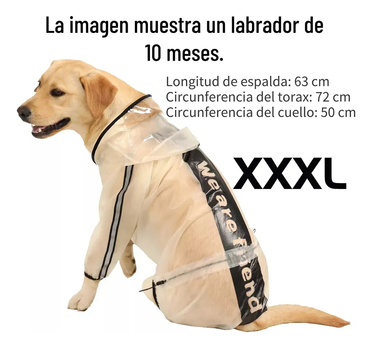 Capa de Chuva Transparente para Cachorros com Capuz e Faixas Refletivas – Impermeável