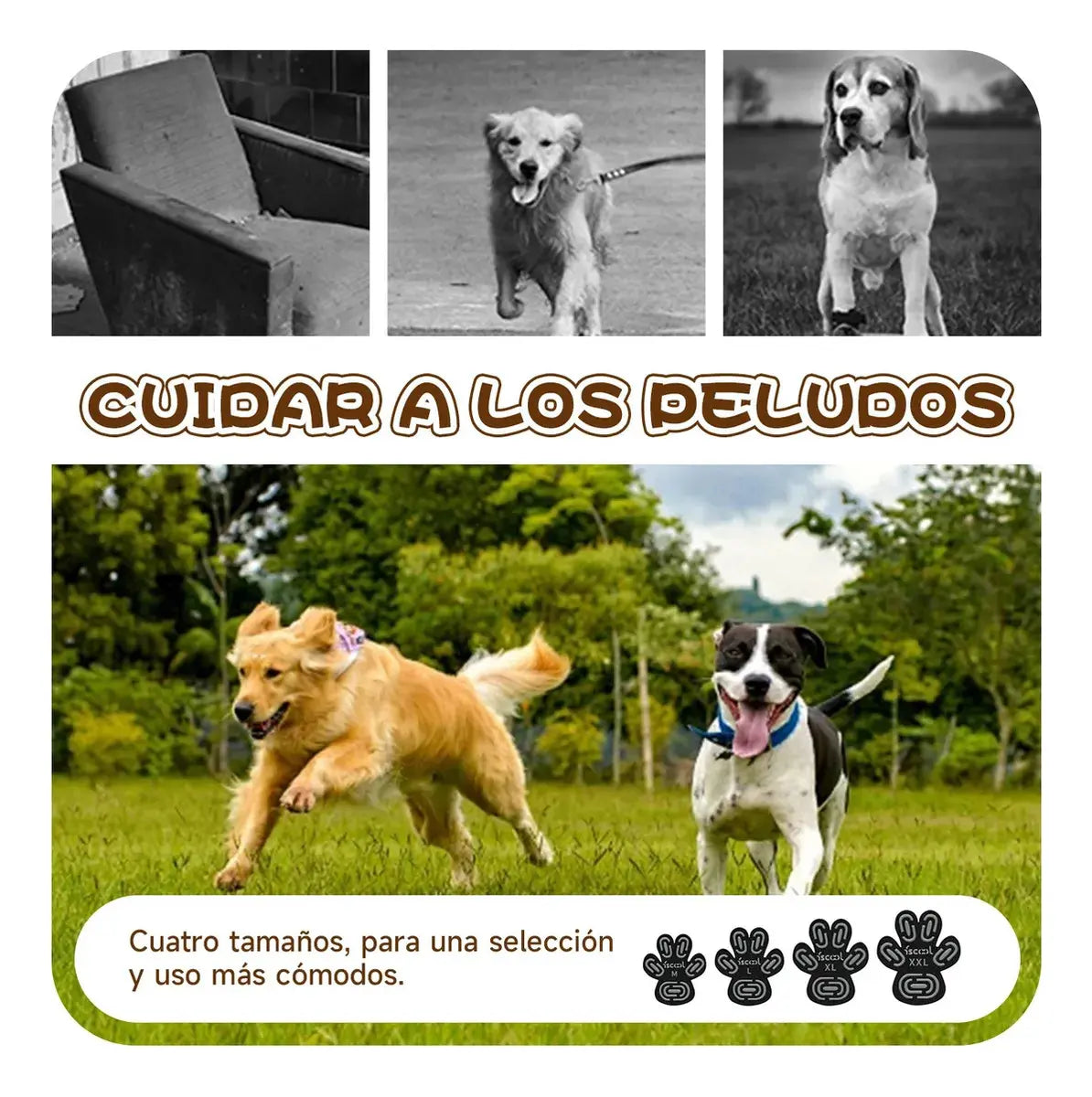 Kit 16 Adesivos Antiderrapantes para Patas de Cachorro – Proteção e Mais Aderência