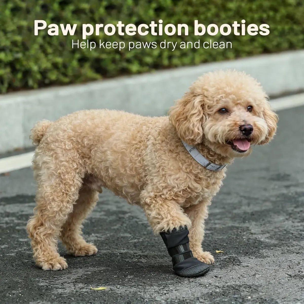 Bota Protetora para Patas Feridas de Cães – Faixa Ajustável e Proteção Antiderrapante