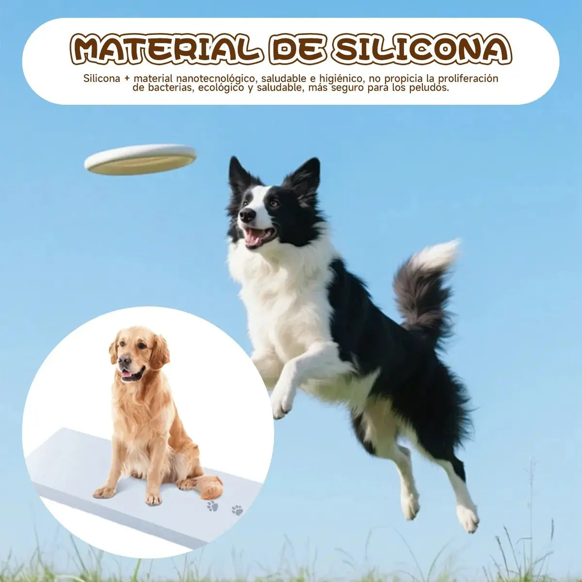 Kit 16 Adesivos Antiderrapantes para Patas de Cachorro – Proteção e Mais Aderência