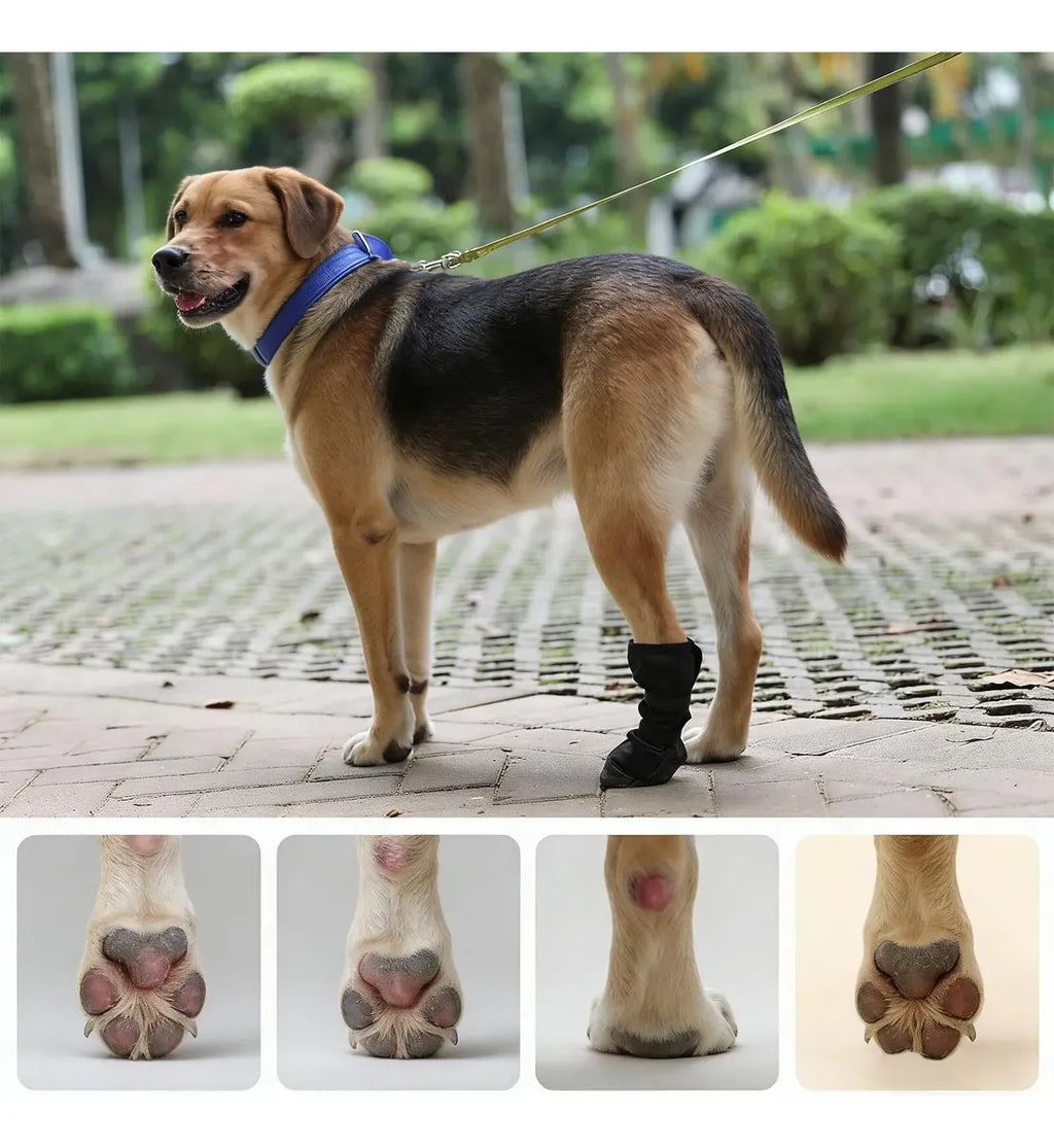 Bota Protetora para Patas Feridas de Cães – Faixa Ajustável e Proteção Antiderrapante