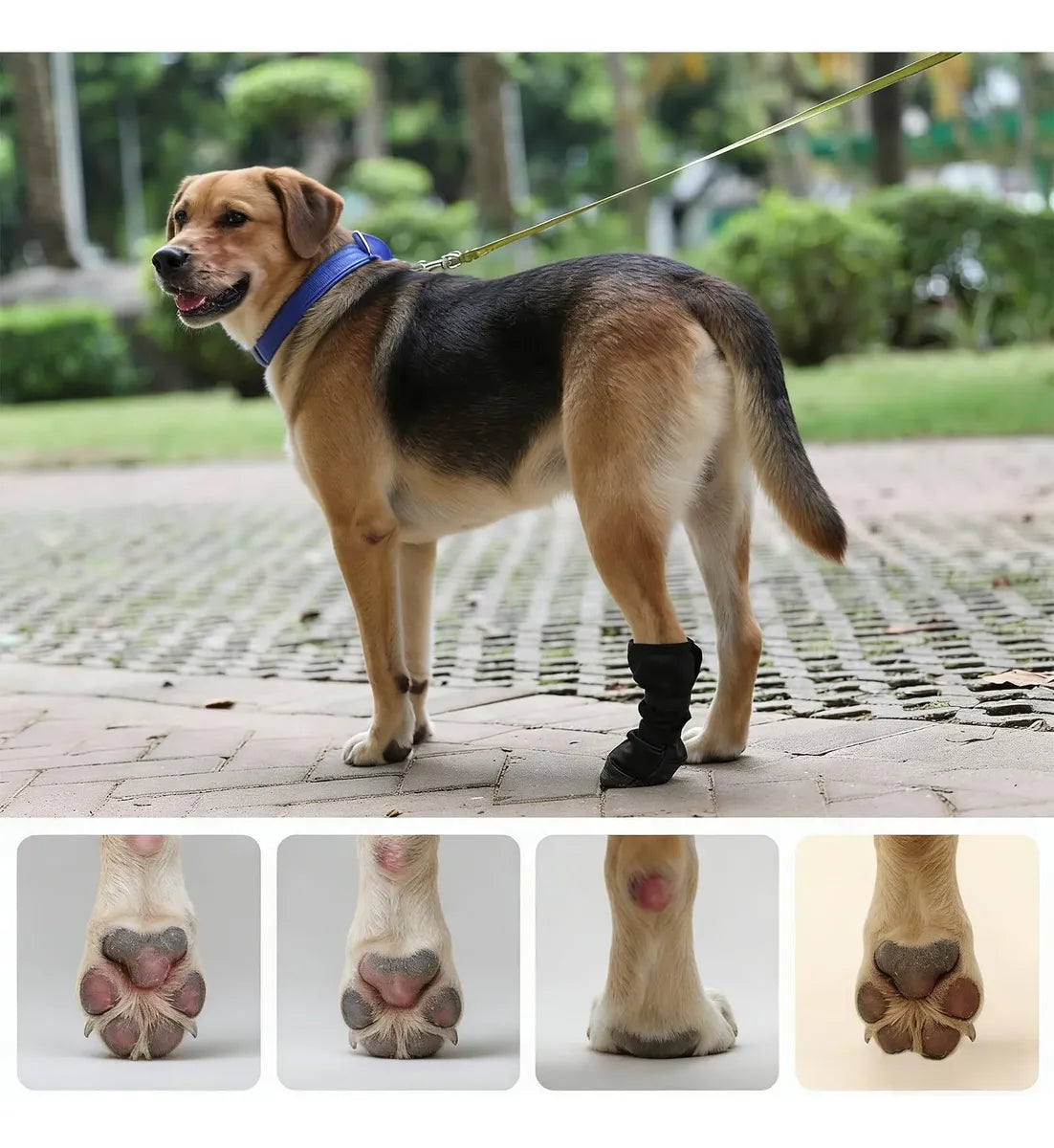 Bota Protetora para Patas Feridas de Cães – Faixa Ajustável e Proteção Antiderrapante