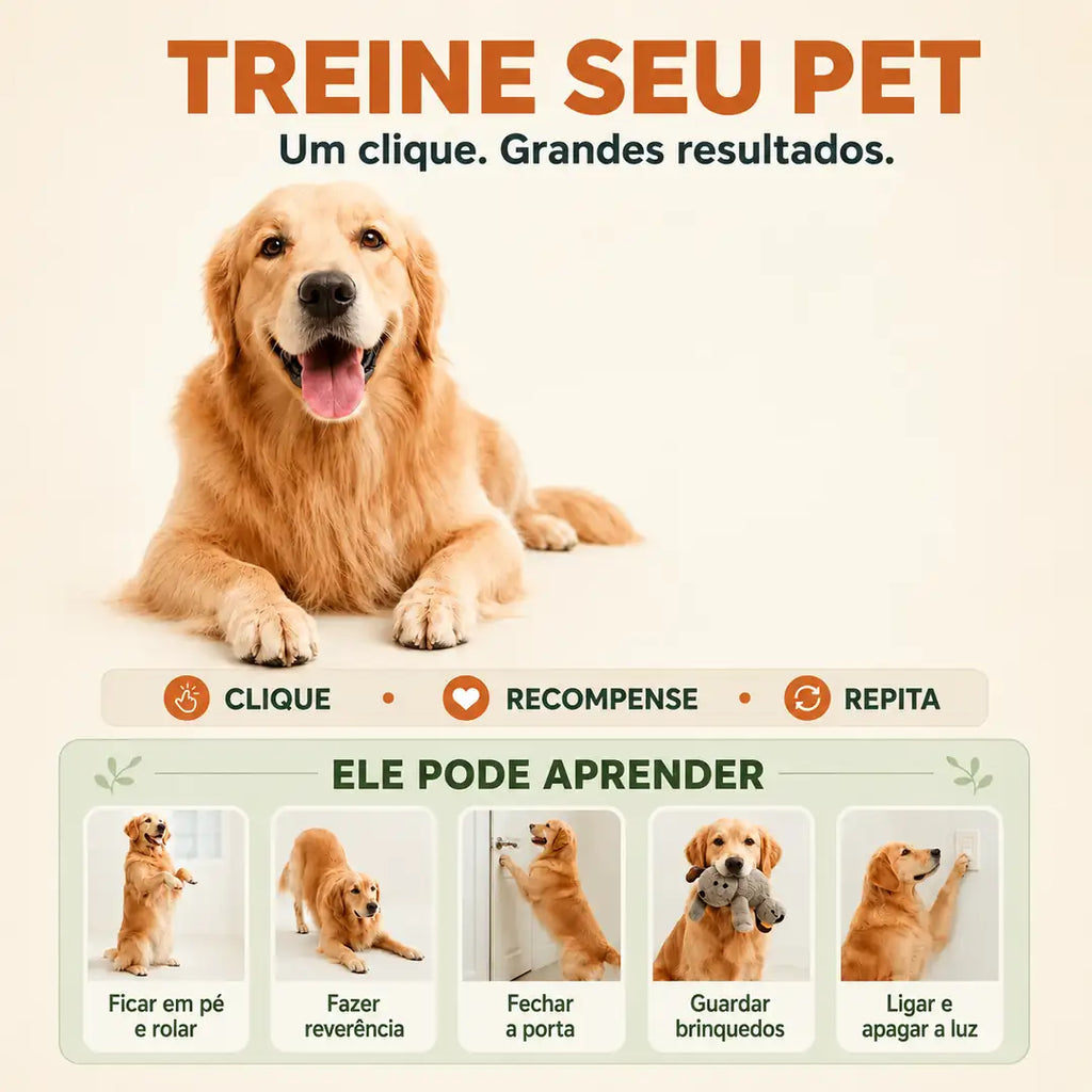 Kit com 4 Botões de Voz para Cachorros com Adesivos e Efeito Luminoso