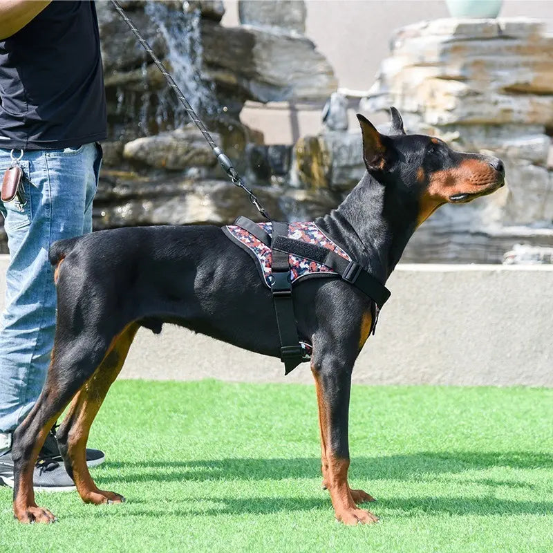 Peitoral Tático para Cães Médios e Grandes com Guia – Ajustável, Resistente e Confortável