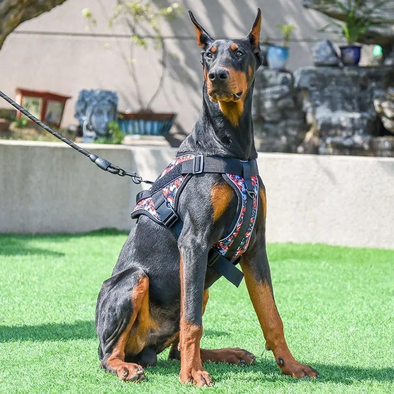 Peitoral Tático para Cães Médios e Grandes com Guia – Ajustável, Resistente e Confortável